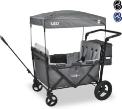 FableKids LEO X4Plus Opvouwbare Wagen Met Dak Fossil Grey