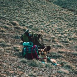 LOWLAND OUTDOOR® Donzen Slaapzak - Super Compact Blanket - 210 X 80 Cm - 590gr +8°C -Kampeer Verkoop 1200x1196 5